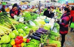 廣州農副產品配送最近菠菜5塊一斤！西安綠葉菜價格下降明顯